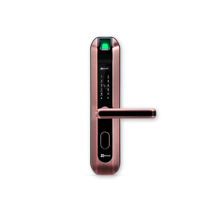 DL2 Household password fingerprint lock - standard lock